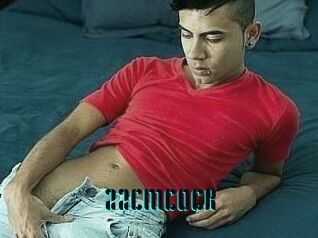 22_CM_COCK