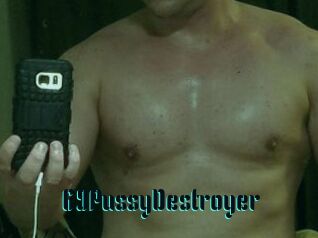 69PussyDestroyer