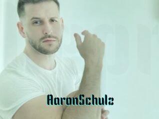 AaronSchulz