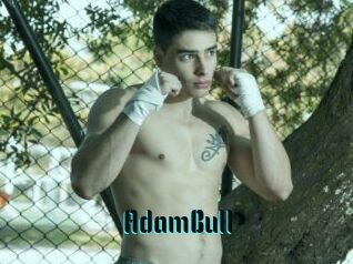 AdamBull Hentai Pride