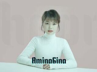 AminaGina