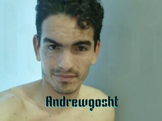Andrewgosht