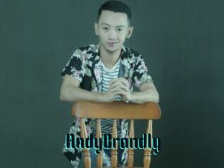 AndyBrandly