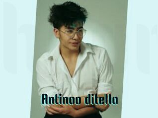 Antinoo_ditella