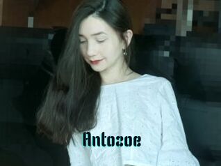 Antozoe