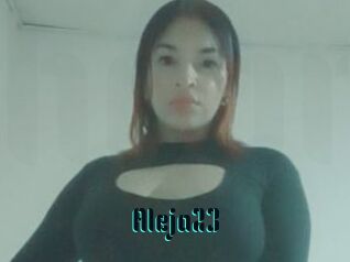 Aleja23