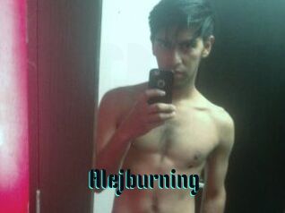 Alejburning