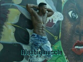 Alexbigmuscle