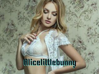 Alicelittlebunny