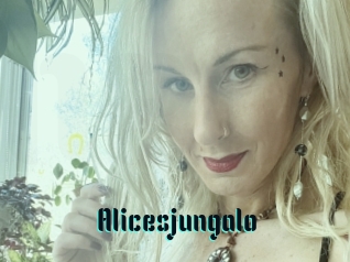 Alicesjungalo