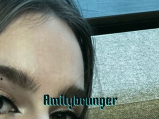 Amitybrunger