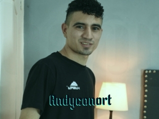 Andyconort
