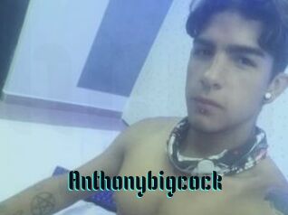 Anthonybigcock