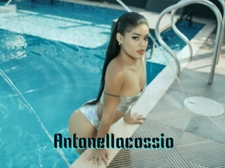 Antonellacossio