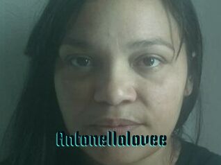 Antonellalovee