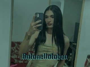 Antonellatobon