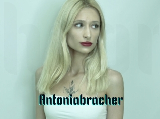 Antoniabracher