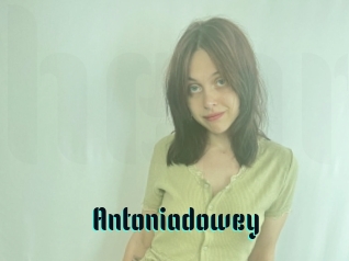 Antoniadowey