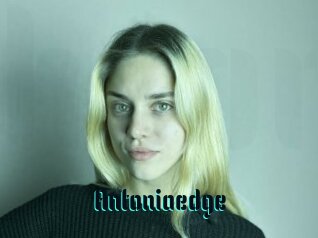 Antoniaedge