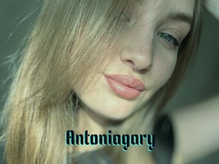 Antoniagary