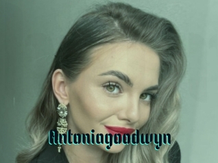 Antoniagoodwyn