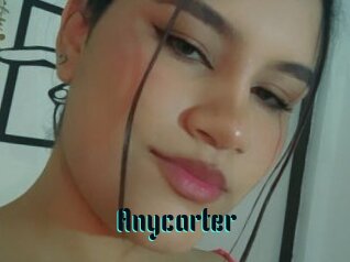 Anycarter