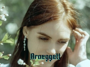 Araeggett