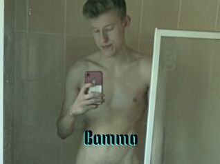 Bammo