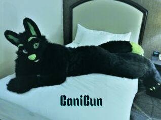 BaniBun