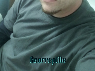 Bearreptile