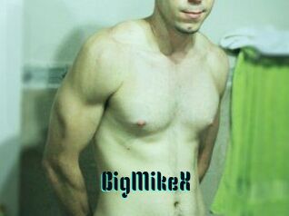 BigMikeX