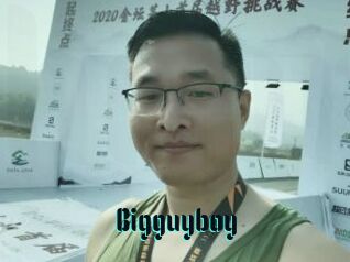 Bigguyboy