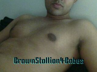 BrownStallion4Babes