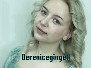 Berenicegingell