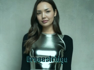 Breeestridge