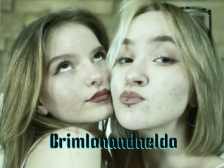 Brimlanandnelda