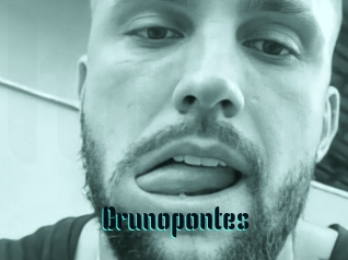 Brunopontes