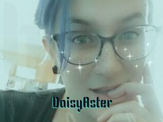 DaisyAster