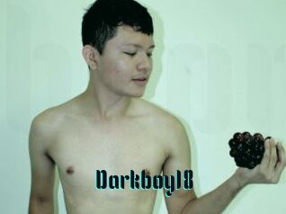 Darkboy18