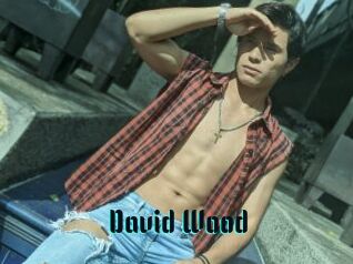 David_Wood