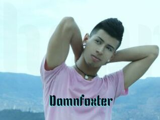 Damnfoxter