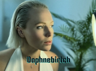 Daphnebirtch