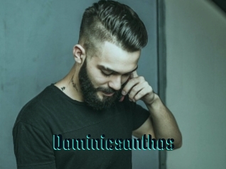 Dominicsanthos