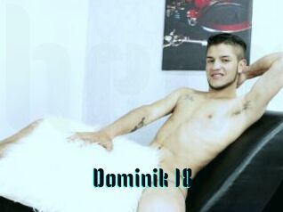 Dominik_18