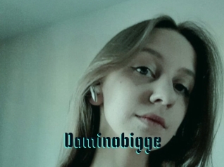 Dominobigge