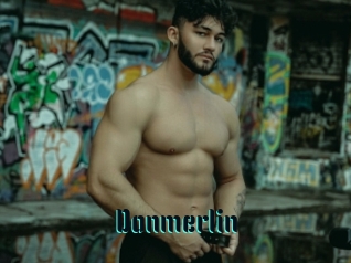 Donmerlin