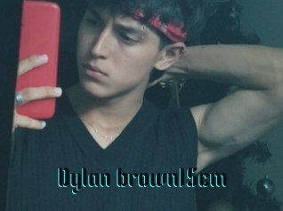 Dylan_brown15cm