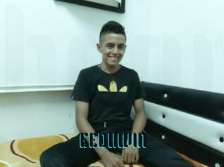 EEDUWIN