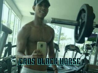 EROS_BLACK_HORSE