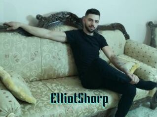 ElliotSharp